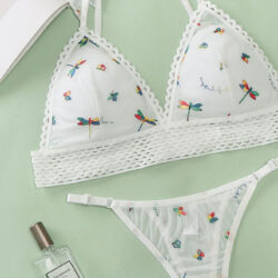 Women's Lingerie Bikini Set With Lace Detail With Bra And Thin Trousers In Multiple Colors