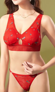 Women's Lingerie Bikini Set With Lace Detail With Bra And Thin Trousers In Multiple Colors